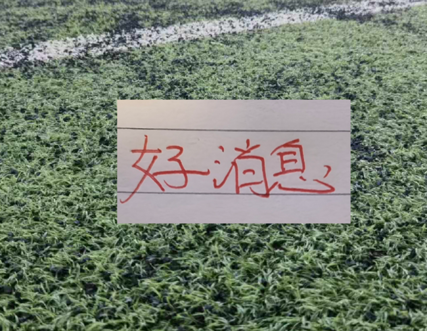 哈兰德社媒晒与全场最佳奖杯合照：有些时刻无法用言语形容